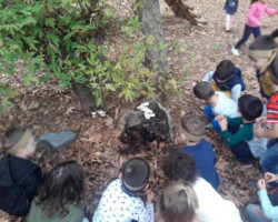 Εξόρμηση στη Φύση1