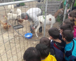 Περιβαλλοντική Εκπαίδευση7