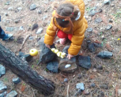 Χριστουγεννιάτικο Δέντρο στο Δάσος15