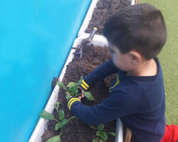 Φυτεύοντας Σπόρους στον κήπο1