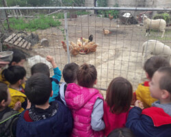 Περιβαλλοντική Εκπαίδευση6