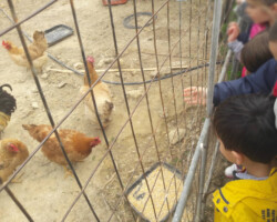 Περιβαλλοντική Εκπαίδευση5