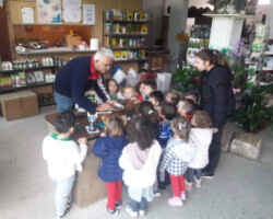 Επίσκεψη σε κατάστημα Σπόρων - Φυτών1