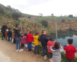 Από την Γή στην Κρήνη1