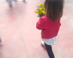 Περιβαλλοντική Εκπαίδευση4