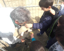 Περιβαλλοντική Εκπαίδευση3