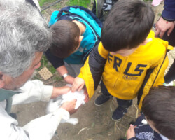 Περιβαλλοντική Εκπαίδευση2